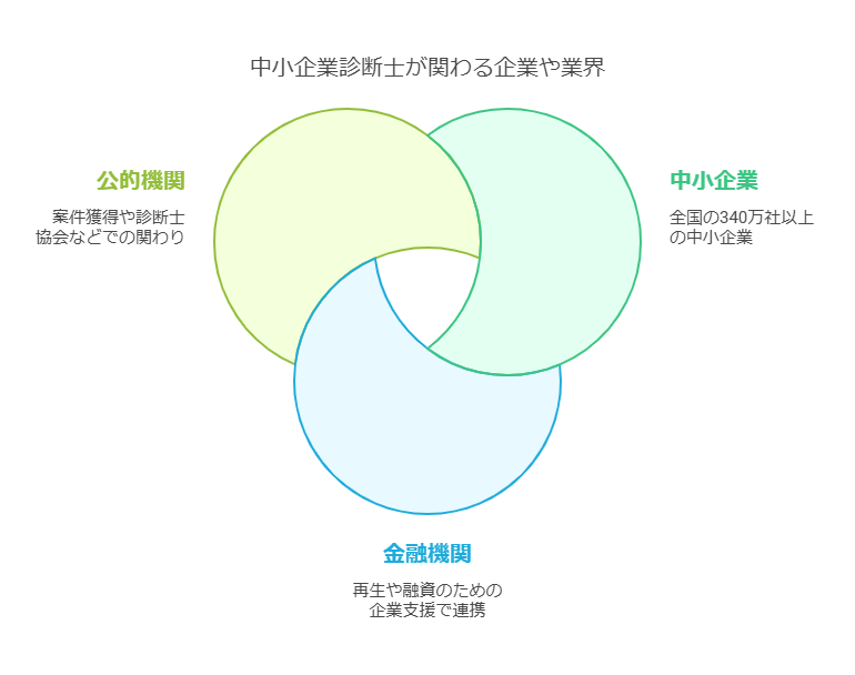 中小企業診断士は「経営コンサルタント」として、さまざまな業界や企業と関わります。

しかし、「具体的にどんな企業を支援するのか？」「自分の経験やスキルをどのように活かせるのか？」と疑問に感じる人も多いでしょう。

実は、中小企業診断士の活躍の場は非常に広く、製造業や小売業、サービス業だけでなく、金融機関や公的機関との連携もあります。

ここでは、診断士が関わる主な業界や企業の特徴を解説します。